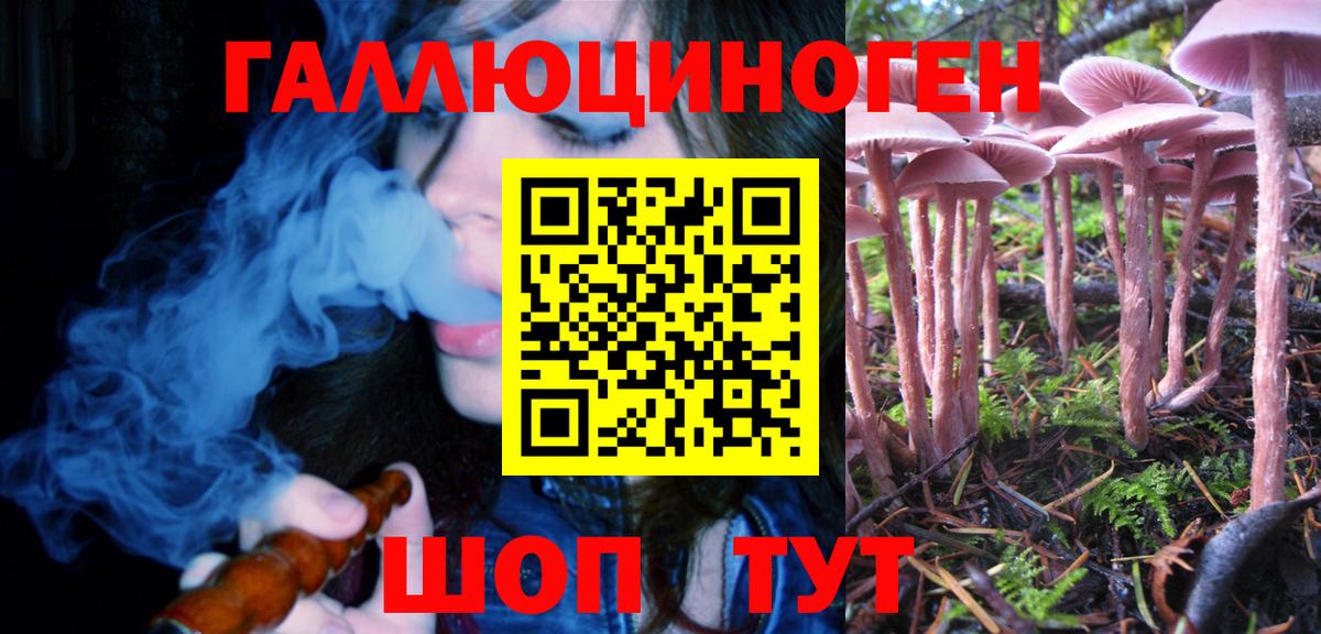 Галлюциногенные грибы Magic Shrooms Зерноград