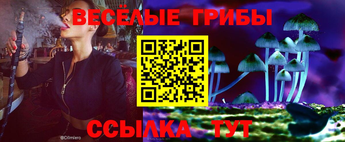 Галлюциногенные грибы Psilocybine cubensis  Вход с VPN  Зерноград 